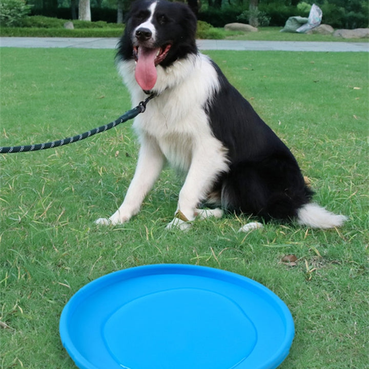 Soft Non-Slip Dog Flying Disc